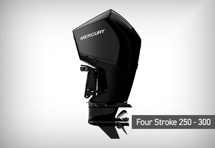 Four stroke 250 300